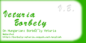 veturia borbely business card